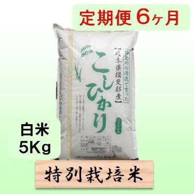 定期便 6カ月【 令和8年産 】毎月 白米 5kg【 コシヒカリ 】 お届け：2026年10月中旬以降発送