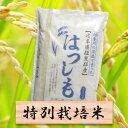 【ふるさと納税】特別栽培米 ハツシモ 精米10kg(分搗き可...