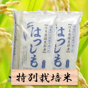 【ふるさと納税】特別栽培米 ハツシモ 精米20kg（分搗き可）または 玄米（22Kg）　30年産