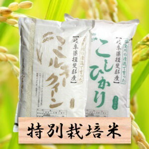 【ふるさと納税】特別栽培米 20Kg　ミルキークイーン／コシヒカリ 30年産 （各10kg）【精米（10kg）分搗き可　または　玄米（11kg）】×2袋