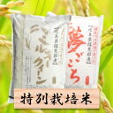 【ふるさと納税】特別栽培米 20kg ミルキークイーン/夢ごこち29年産 (各10kg)【精米(10kg)分搗き可 または 玄米(11Kg)】×2袋