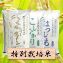 【ふるさと納税】特別栽培米 30kg ミルキー/コシヒカリ/...