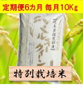 【ふるさと納税】【定期便】特別栽培米 10kg×6カ月 ミル...