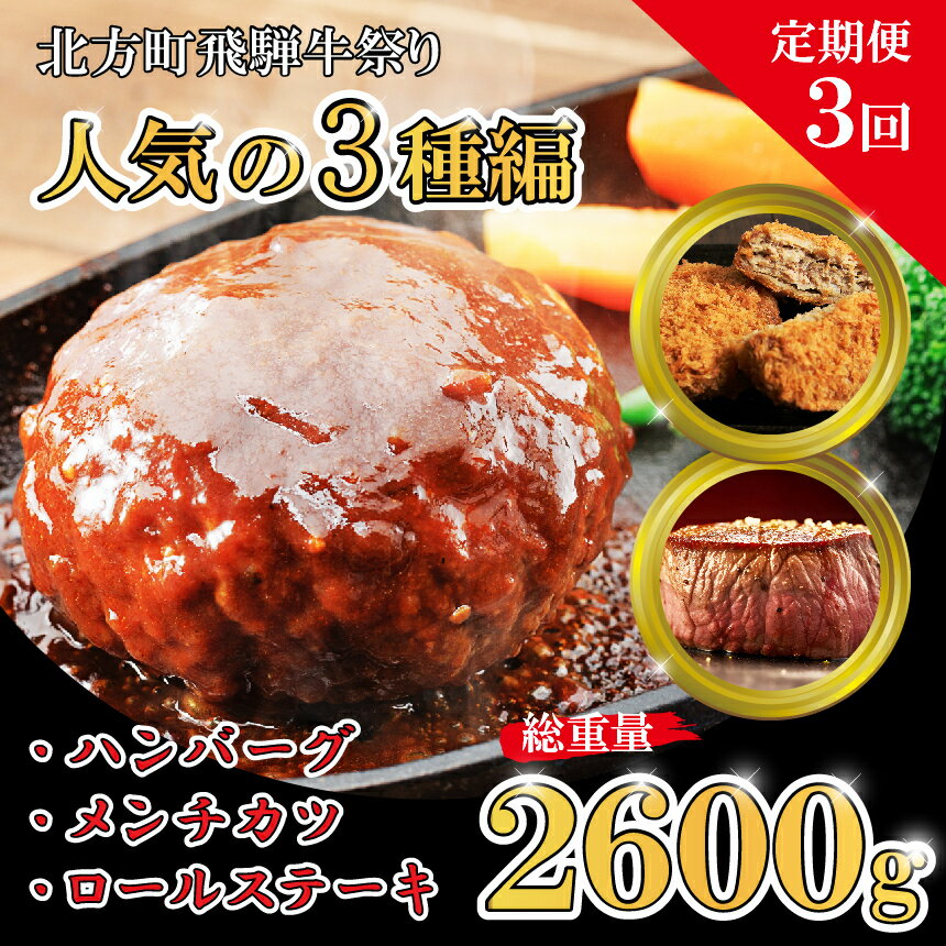 [定期便3回]北方町 飛騨牛 祭り 人気の3種編|ステーキ 国産牛 飛騨牛 ハンバーグ こだわり 贅沢 とろける 1品 逸品 肉汁 美味しい おいしい 旨味 うま味 うまみ 旨い うまい ここだけ ボリューム BIG big ビッグ 大きい おおきい たっぷり 岐阜 送料無料