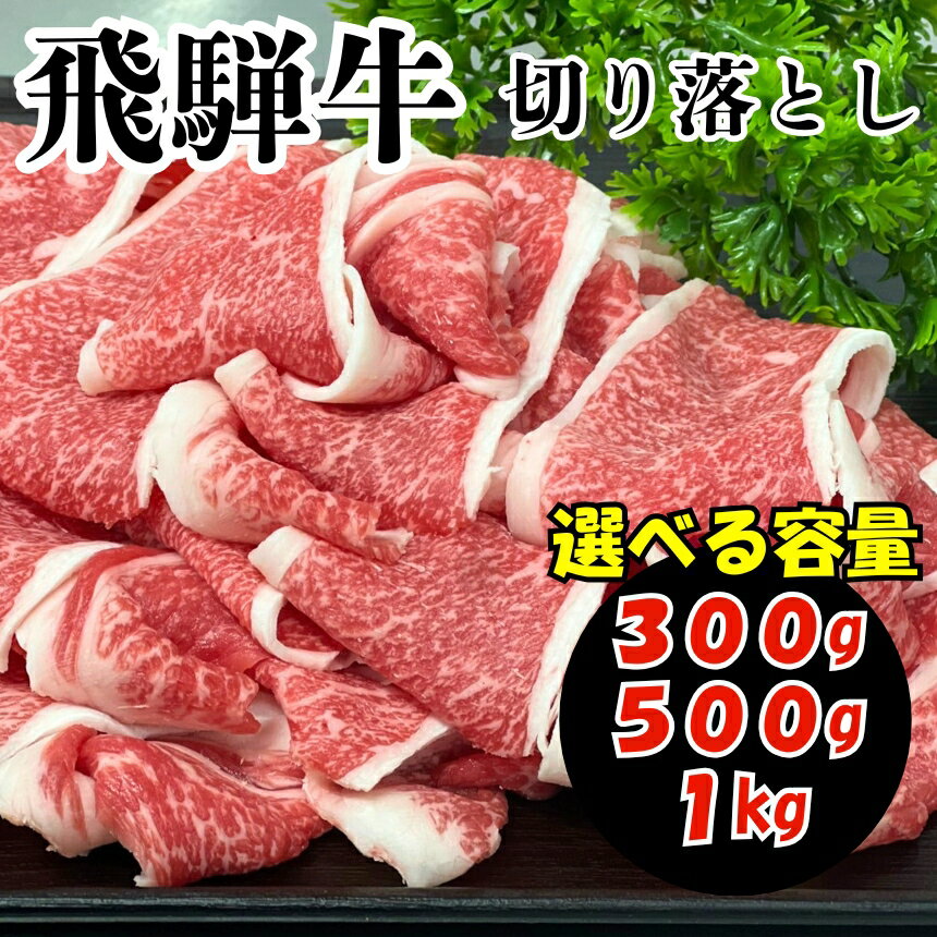 飛騨牛 切り落とし[ 選べる容量 ]| 300g 500g 1kg 飛騨牛 黒毛和牛 牛 切り落とし 赤身 炒め物 牛丼 肉じゃが カレー 焼肉 おかず 贈答 家庭用 ジューシー とろける 冷凍 岐阜県 北方町