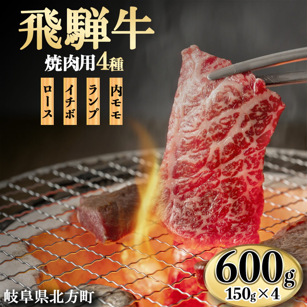 飛騨牛 【ふるさと納税】飛騨牛 おうち焼肉用 600g 冷凍 牛肉 牛 肉 600グラム 国産 焼き肉 こだわり 贅沢 とろける 1品 逸品 肉汁 美味しい おいしい 旨味 うま味 うまみ 旨い うまい ここだけ ボリューム BIG big ビッグ 大きい おおきい たっぷり 岐阜 北方町