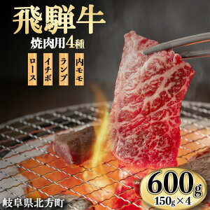【ふるさと納税】飛騨牛 おうち焼肉用 600g | 冷凍 牛肉 牛 肉 600グラム 国産 焼き肉 こだわり 贅沢 とろける 1品 逸品 肉汁 美味しい おいしい 旨味 うま味 うまみ 旨い うまい ここだけ ボリューム BIG big ビッグ 大きい おおきい たっぷり 岐阜 北方町