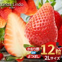 【ふるさと納税】【2026先行予約】いちご Linda Lindo BERRY 2Lサイズ 12粒 | かおり野 よつぼし 苺 イチゴ 季節限定 岐阜県 北方町 送料無料 いちご プレゼント ギフト 贈り物 贈答