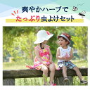 岐阜県北方町の画像2