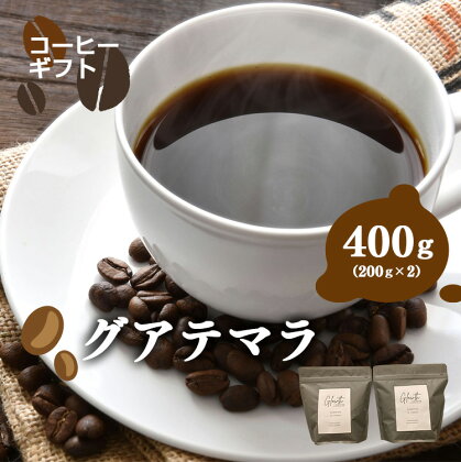 岐阜県北方町産 グアテマラ コーヒー 豆 400g(200gx2)