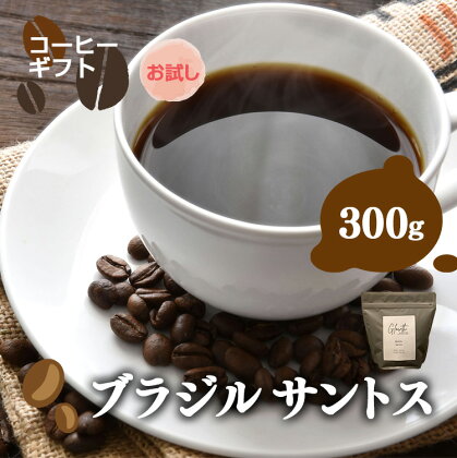 岐阜県北方町産 【お試し】ブラジルサントス コーヒー 豆 300g