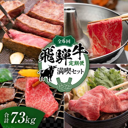 【定期便】飛騨牛 全6回 合計7.3kg 満喫セット ステーキ 焼肉 しゃぶしゃぶ すき焼き 牛肉 黒毛和牛 5等級 肉 F6M-062