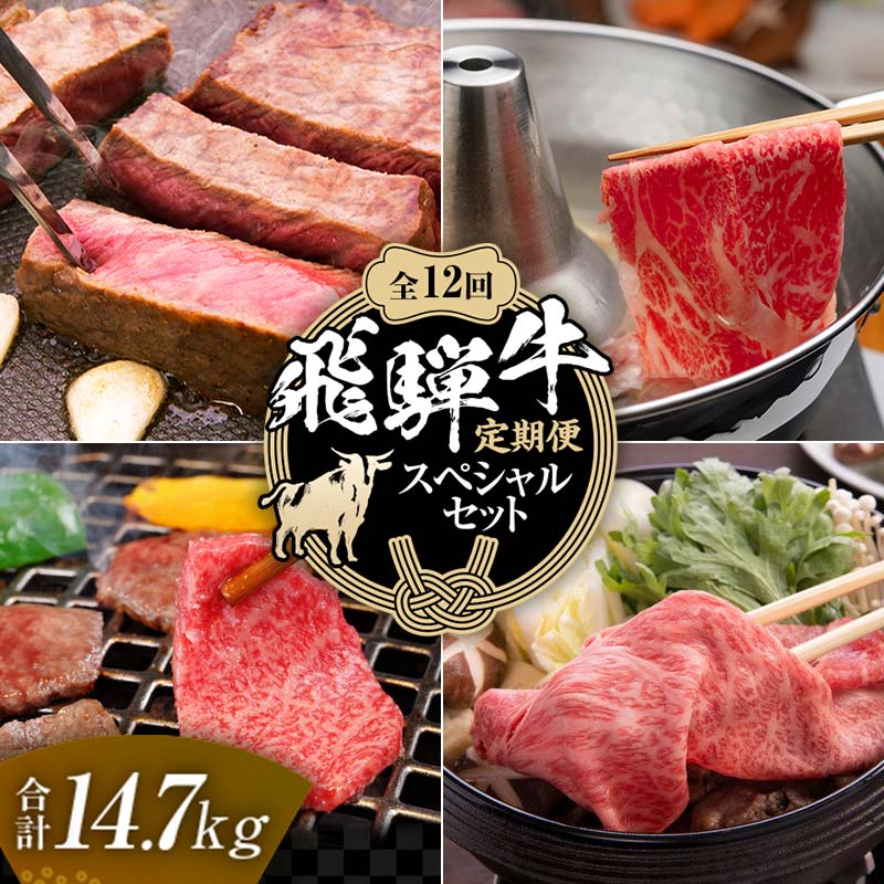 【ふるさと納税】【定期便】飛騨牛 全12回 合計14.7kg スペシャルセット ステーキ 焼肉 しゃぶしゃぶ ..