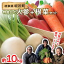 【ふるさと納税】 <先行予約>坂祝町の野菜根菜セット 季節の野菜 新鮮野菜 詰め合わせ 人参 じゃがいも イモ 芋 さつまいも かぶ カブ F6M-288
