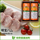 【ふるさと納税】明宝ハム 2本 詰め合わせ 360g×2本