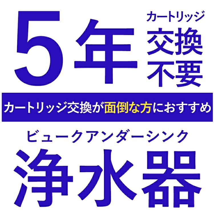 【ふるさと納税】 浄水器 アンダーシンク浄水器 5年間 カートリッジ 交換不要 蛇口 水栓 接続部品付【シリーズ累計10万台突破！】 塩素12万リットル除去 フッ素 PFAS 除去 メンテナンス不要 ドリームバンク シンプルの研究 ビューク beaq おいしいお水 岐阜県