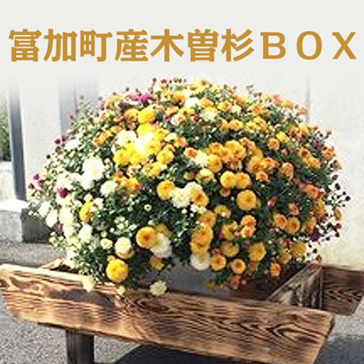 富加町産木曽杉BOX(小)