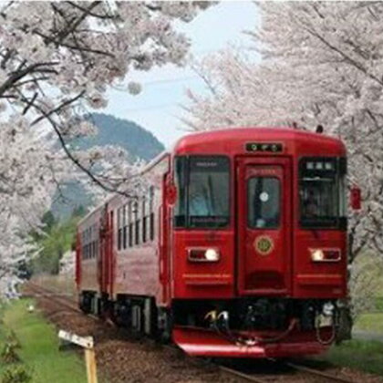 観光列車「ながら」ランチプラン乗車券(ペア)