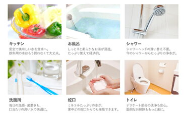 【ふるさと納税】家中浄水システム17項目除去セントラル浄水器