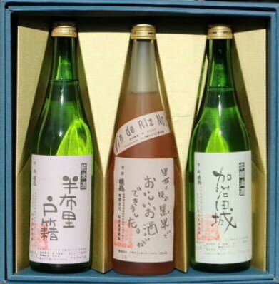 【ふるさと納税】純米酒「半布里戸籍」・本醸造酒「加治田城」・「黒米酒」3本のサムネイル