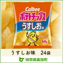 【ふるさと納税】カルビー ポテトチップス うすしお味 24袋...