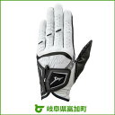 【ふるさと納税】ミズノ W-GRIP (左手着用) グローブ...