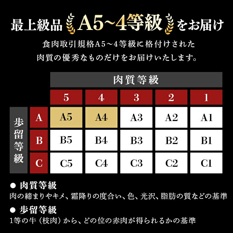 【ふるさと納税】 飛騨牛 A5～4等級 しゃぶしゃぶ用 ( 特選ロース ) 1.0kg D-5/A-15 f215031-kawabe-10000061 岐阜県川辺町 サンプル画像3