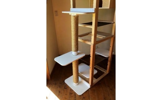 岐阜県川辺町の画像3