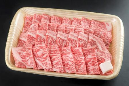 飛騨牛 【ふるさと納税】※HNP-04プレミアム(A5等級)飛騨牛焼肉用(650g)