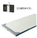 【ふるさと納税】ローズラジカル敷きふとんベーシックタイプ(レ...