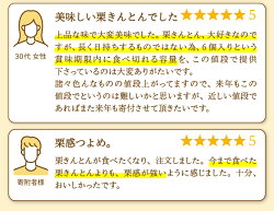 【ふるさと納税】 栗きんとん くりきんとん 栗 くり 6個 15個 和菓子 スイーツ 菓子 栗金糖 和栗 限定 手作り 個包装 お取り寄せ 手土産 ギフト プレゼント 八百津町産 梅屋 送料無料 y4-限74 y4-限4･･･ 画像2