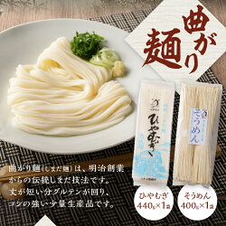 【ふるさと納税】 ひやむぎ そうめん 堪能 セット 5袋 まっすぐ麺 曲がり麺 送料無料 画像2