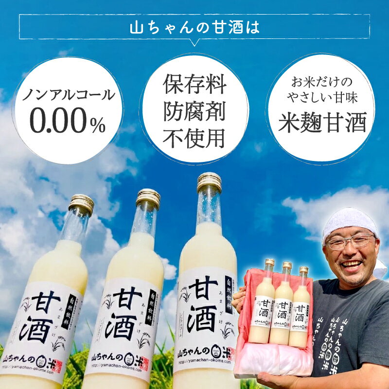 【ふるさと納税】 山ちゃん 甘酒 500ml×6本 セット 山ちゃん 甘酒 米 米麹 無添加 ノンアルコール あまざけ y16-132 送料無料