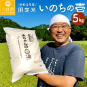 【ふるさと納税】 新米 米 お米 ごはん ご飯 令和4年度