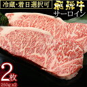 57位! 口コミ数「0件」評価「0」 飛騨牛 サーロイン ステーキ（250g×2枚）冷蔵 A4 A5 霜降り 黒毛和牛 和牛 牛肉 肉 ステーキ用 日付指定 時間指定 y14-･･･ 