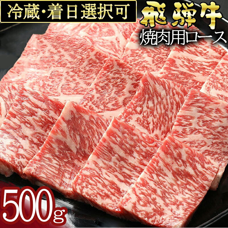 【ふるさと納税】 飛騨牛 ロース(500g)焼き肉用 冷蔵 