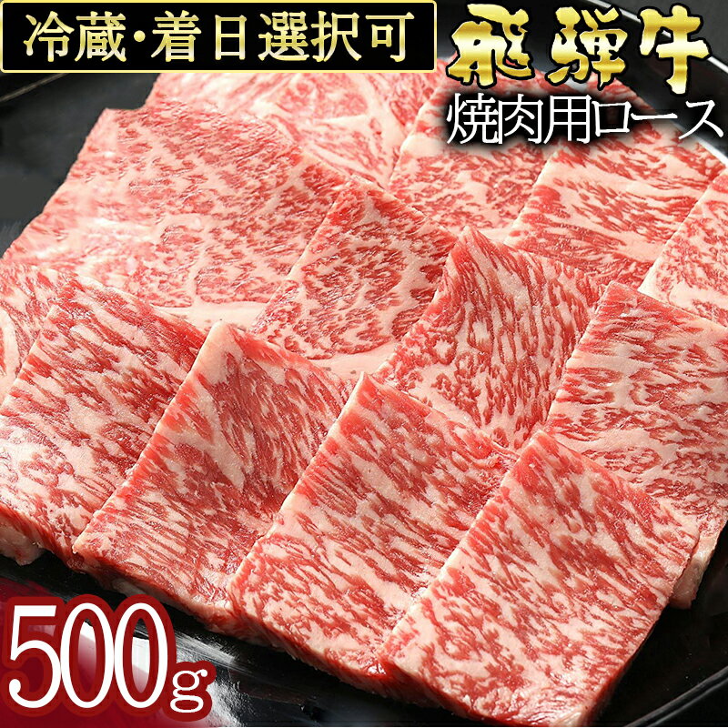 飛騨牛 【ふるさと納税】 飛騨牛 ロース(500g)焼き肉用 冷蔵 A4 A5 霜降り 黒毛和牛 和牛 牛肉 肉 焼肉用 日付指定 時間指定 y14-48 送料無料