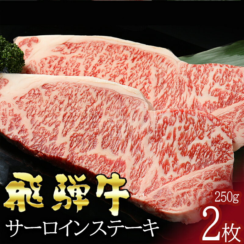 【ふるさと納税】 飛騨牛 サーロイン ステーキ（250g×2枚）冷蔵 A4 A5 霜降り 黒毛和牛 和牛 牛肉 肉 ステーキ用 日付指定 時間指定 y14-39 送料無料