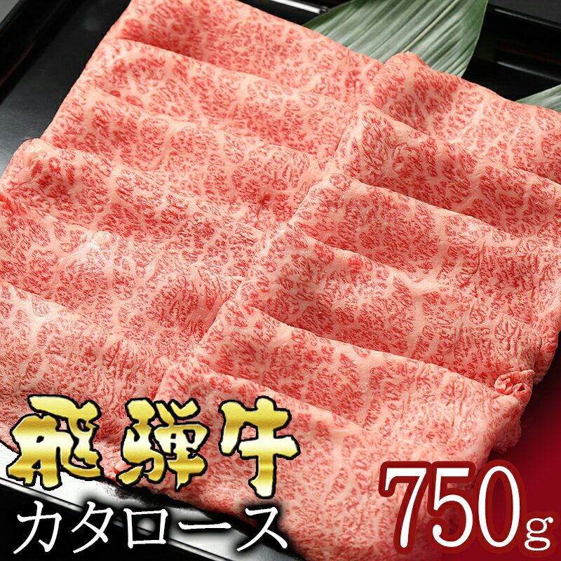 【ふるさと納税】 飛騨牛 カタロース(750g) しゃぶしゃぶ すき焼き 冷蔵 A4 A5 霜降り 黒毛和牛 和牛 牛肉 肉 日付指定 時間指定 y14-22 送料無料