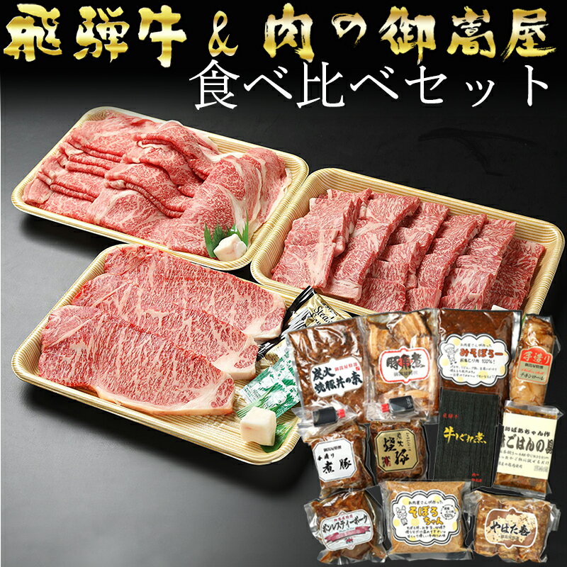 飛騨牛プレミアムセット ロース サーロイン ステーキ 焼豚 豚肉 黒毛和牛 和牛 牛肉 肉 しゃぶしゃぶ すき焼き 焼肉 A5 A4 霜降り 冷蔵 y14-44 送料無料