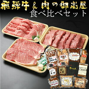 【ふるさと納税】 飛騨牛プレミアムセット ロース サーロイン ステーキ 焼豚 豚肉 黒毛和牛 和牛 ...