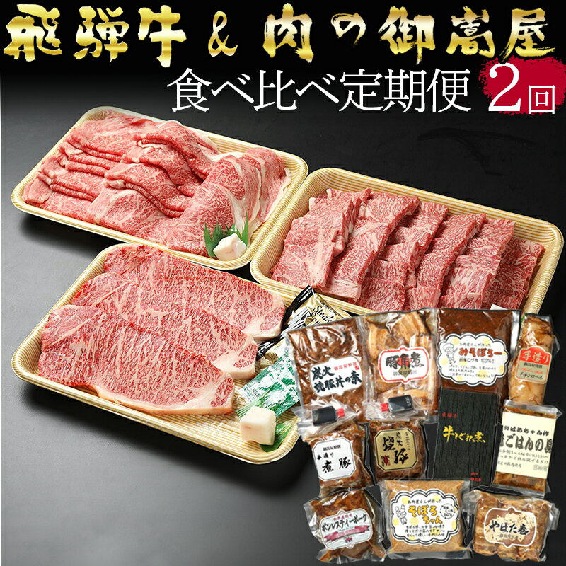 定期便2回 飛騨牛プレミアムセット ロース サーロイン ステーキ 焼豚 豚肉 隔月 黒毛和牛 和牛 牛肉 肉 しゃぶしゃぶ すき焼き 焼肉 A5 A4 霜降り 冷蔵 お楽しみ y14-223 送料無料