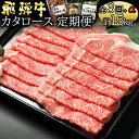  定期便3回 飛騨牛 カタロース（500g×3回） 黒毛和牛 和牛 牛肉 肉 スライス 最終月に特製『炭火焼豚』セットが届く 豚肉 お楽しみ A4 A5 冷蔵 y14-35 送料無料