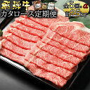 23位! 口コミ数「0件」評価「0」 定期便5回 飛騨牛 カタロース（500g×5回） 黒毛和牛 和牛 牛肉 肉 スライス 最終月に人気の『炭火焼豚』セットが届く 豚肉 お楽し･･･ 