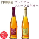 【ふるさと納税】 ビネガー 果実酢 フルーツ 酢 飲む酢 信州りんご 有機ぶどう 500ml 2本 セット ドリンク ギフト 内堀醸造 送料無料 y3-260