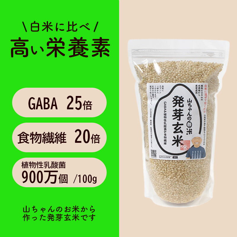 【ふるさと納税】 米 お米 玄米 健康米 発芽玄米 農家直送 「山ちゃんの発芽玄米」 1500g×2袋 山ちゃん 米農家 送料無料 y16-16