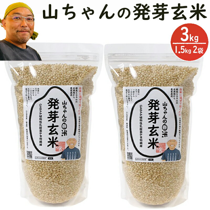 こんにちは!! 「山ちゃんのお米」山田正隆です!! 「安全な食べ物を作ることに人生をかけよう!!米農家になる!!」そう決心してから20数年が経ちました。 そのきっかけは、まだ都会で働いていた時に多くの幼い子どもたちが様々な病を抱えているという現状を目の当たりにしたことでした。 試行錯誤を重ね、いっぱい笑って、いっぱい泣いてきたからこそ「どうぞ!!食べてみてください!!」と胸を張って言えるお米になりました!! そんな山ちゃんのこだわりの玄米を発芽させ、栄養価の高いお米にしました。 GABAや植物性乳酸菌・食物繊維を豊富に含んだ健康志向のお米です。 発芽玄米を白米に混ぜて炊く、たったそれだけで血圧安定やダイエットなど多くの効果が期待できます。 玄米より柔らかくおいしく炊け、アレルゲンたんぱく質も白米や玄米に比べ、著しく少ないお米です。 白米に5〜100％までお好みの量を混ぜて、水加減も時間も普通に炊飯できます。 ホームページもぜひご覧ください!! 究極・最強の健康米『発芽玄米』1,500g×2袋 内容量 1,500g×2袋 保存方法 常温保存 発送期間 お申込み後、2週間以内を目安に随時発送いたします。※順次発送により到着日は指定できかねますのであらかじめご了承ください。 提供元 農業生産法人(株)福地ハイランズ （八百津町福地751-11） ◎寄附金の用途について 「ふるさと納税」寄附金は、下記の事業を推進する資金として活用してまいります。 寄附を希望される皆さまの想いでお選びください。 (1)笑顔で寄り添う福祉と健康のまちづくり (2)快適な生活を過ごせる安心・安全なまちづくり (3)優しく郷土愛を育む歴史・文化のまちづくり (4)ともに考え、ともに創る魅力・にぎわいのあるまちづくり (5)数千人もの命を救った杉原千畝「後世に伝えたい、平和の大切さを」 (6)八百津町のためになることならなんでも応援 特段のご希望がなければ、町政全般に活用いたします。 ◎受領証明書及びワンストップ特例申請書のお届けについて 入金確認後、注文内容確認画面の【注文者情報】に記載の住所にお送りいたします。 発送の時期は、寄附確認後30日以内を目途に、返礼品とは別にお送りいたします。 -------------------------------------------------- ・ふるさと納税よくある質問はこちら ・寄附申込みのキャンセル、返礼品の変更・返品はできません。あらかじめご了承ください。 --------------------------------------------------