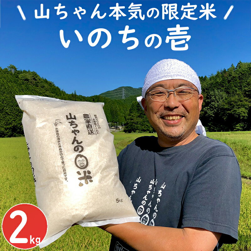 新米 米 お米 ごはん ご飯 令和5年度 限定米 「いのちの壱」 2kg 山ちゃん 米農家 送料無料