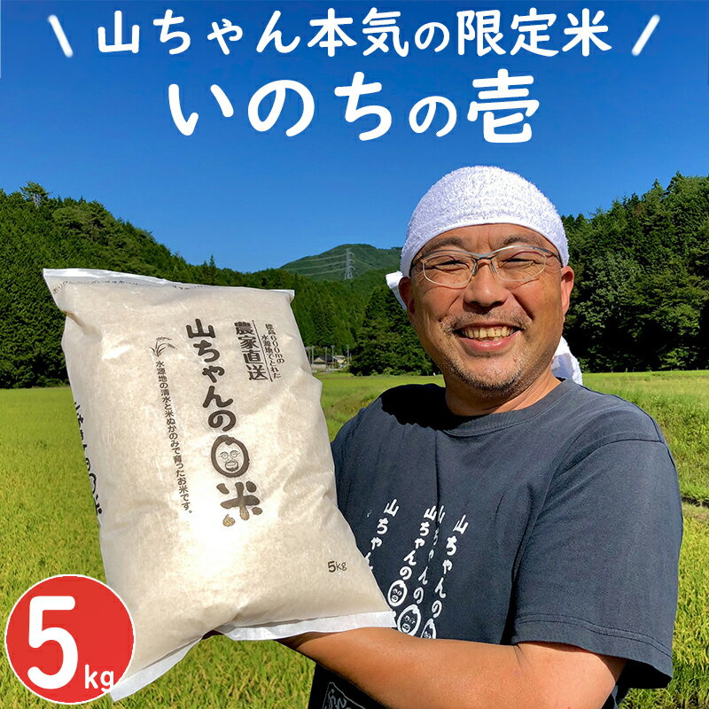 【ふるさと納税】 新米 米 お米 ごはん ご飯 令和5年度 限定米 「いのちの壱」 5kg 山ちゃん 米農家 送料無料 y16-147