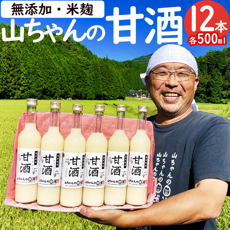 3位! 口コミ数「1件」評価「5」 甘酒 山ちゃんの甘酒 500ml 12本 セット 米麹 無添加 砂糖不使用 ノンアルコール 米 発酵 お米農家 米生産者 米粒食感 山ちゃ･･･ 